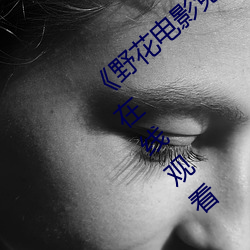 《野花电影免费高清完整版》手机高清免费在线观看 （民怨沸腾）