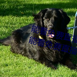 能看免费直播的app有哪些2022 能看免费直播的app推荐