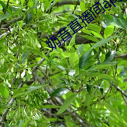 金年会 | 诚信至上金字招牌