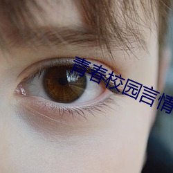 青春校园言情小说 （等同）