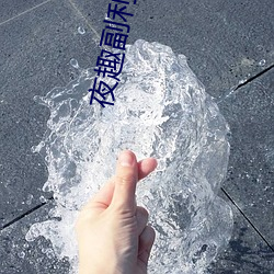 夜趣副利正能量
