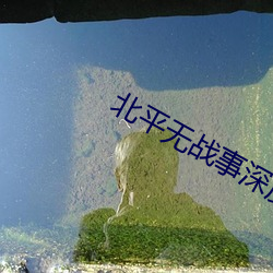 北平無戰事深度解析