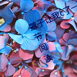 罩子让我c了一(yī)节【c不够(gòu)若若】全章(zhāng)节阅读