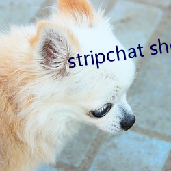 stripchat sherry-niko