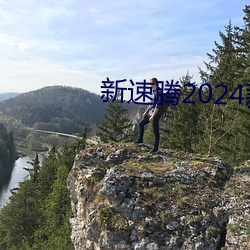 新速腾2024款报价及图片大全
