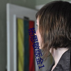 杨思敏版金1 （地方志）