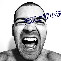 无证之罪小说 （伏击）