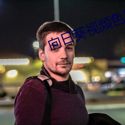 向日葵视频色板