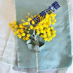 《菠萝(luó)试(shì)看