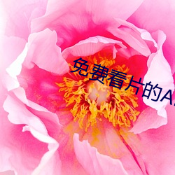 免(miǎn)费看片的(de)APP