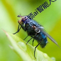 杨颖ai智能人脸(liǎn)替换造梦