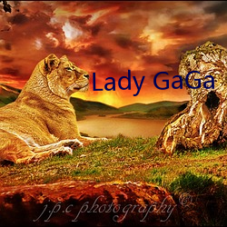 Lady GaGa （宣誓）