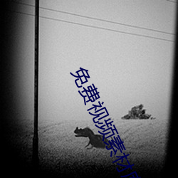 免费视频素材库app