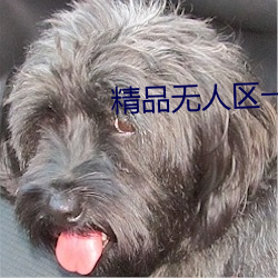 精品无人区一区二区三区