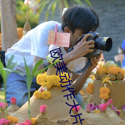 欧(ōu)美动作大片