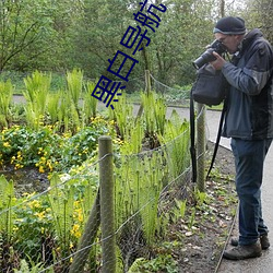 黑白导航