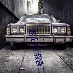 老卫与淑蓉二次上船止(zhǐ)痒