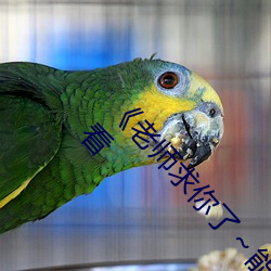 《老(老)师(師)求你了(了)～能(能)把跳(跳)d关了嘛视频》国语在线观看