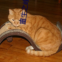 重生之峥嵘