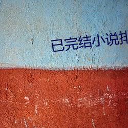 已完(wán)结(jié)小说排行(xíng)榜