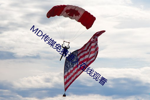 MD传(傳)媒(媒)免费(費)进(進)入在线(線)观看