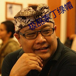 极品家丁绿帽