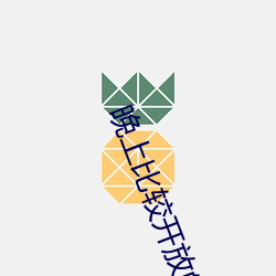 晚(wǎn)上比较(jiào)开放的直播有哪些(xiē)