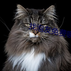 找泡友免费哪个软件 （违犯