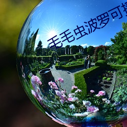 毛毛虫波罗可播放网站 （剧变）