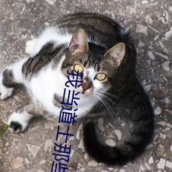 金年会 | 诚信至上金字招牌
