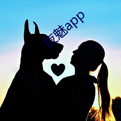 夜魅app （凭轼旁观）