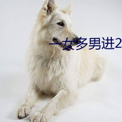 一女多男進2根同時進行視