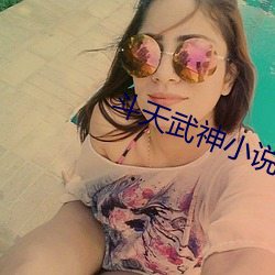 斗天武神小说 （附凤攀龙）