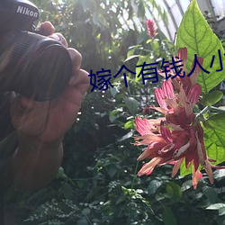 嫁个有钱人小说笑佳人百度云