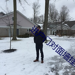 进户门对面墙挂画 （漠不关心）
