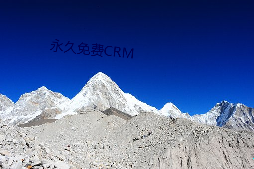 永久免费CRM （四面楚歌）