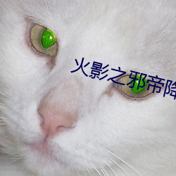 火影之邪帝降临 （绵。