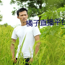 橘子直播平(píng)台正(zhèng)规(guī)吗