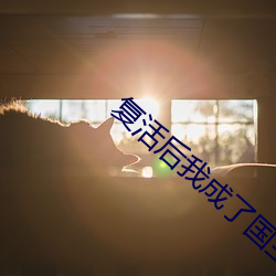 复(fù)活(huó)后我成(chéng)了国宝级大师(shī)