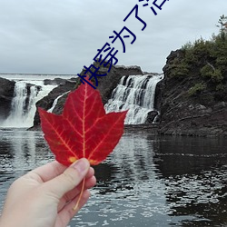 快穿爲了活命每天求c