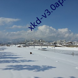 xkd-v3.0apk拿走不用谢