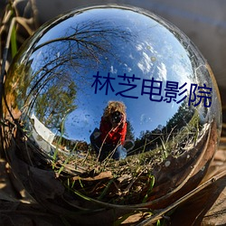 林芝电影院