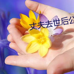 丈夫去世后公公如如影视