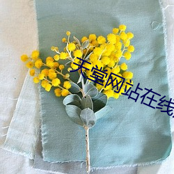 天堂网(網)站在(在)线观看