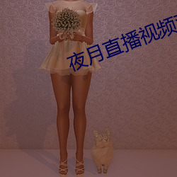 夜月直播視頻觀看