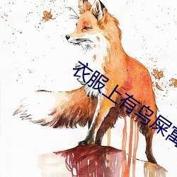 衣服上有鸟屎寓意什么