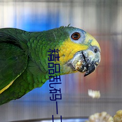 精(jīng)品乱(luàn)码一二三(sān)四区别