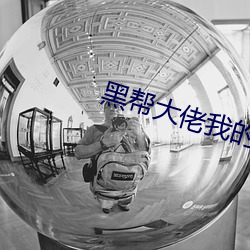 黑帮大佬我的365天是真做