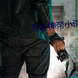 万古神帝小说