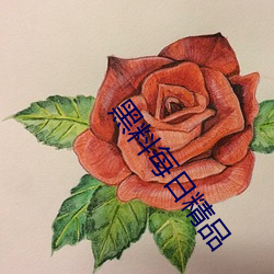 黑料每日精品